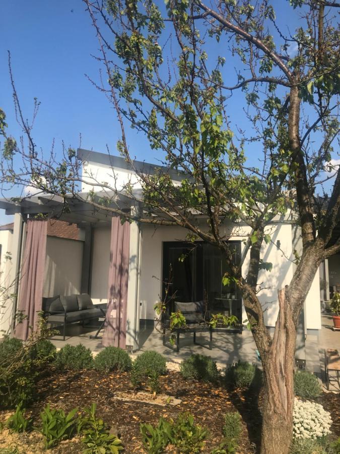 Angelit Studio Apartman زلاكاروس المظهر الخارجي الصورة
